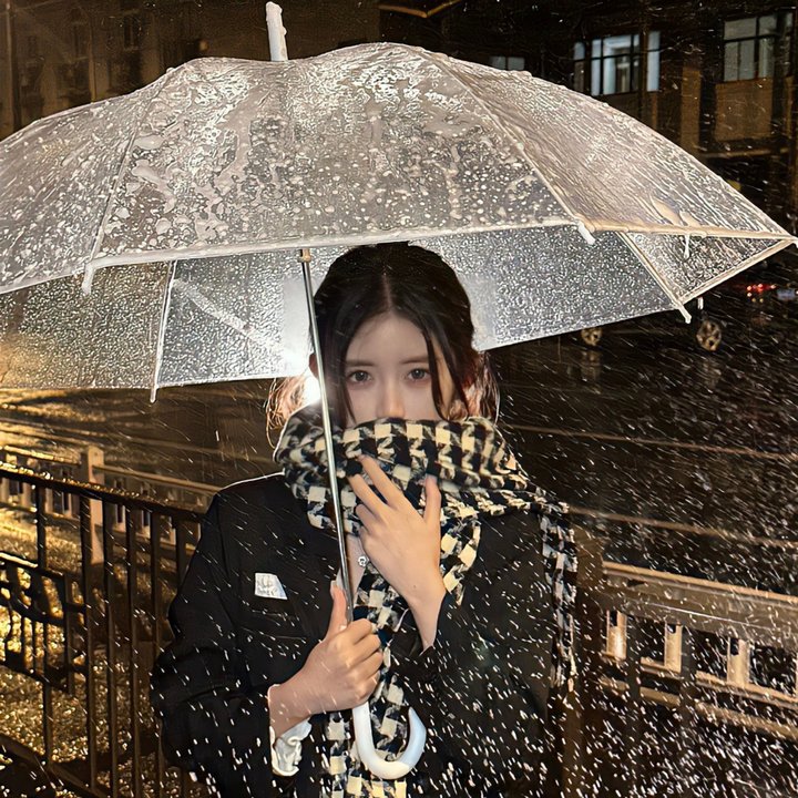 凤舞九天涅槃重生